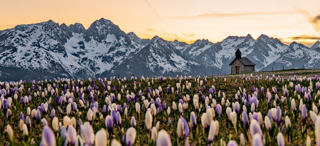 Willkommen Frühling!