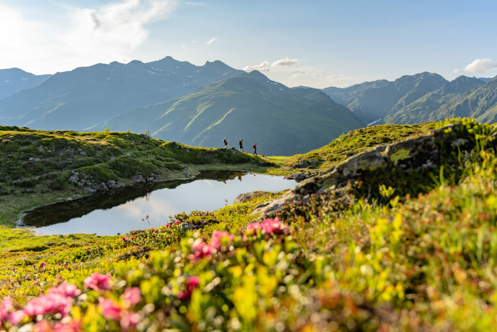 Wandern