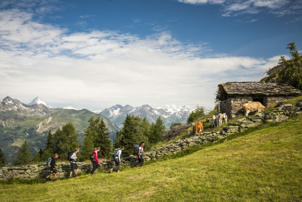 Geführte Touren