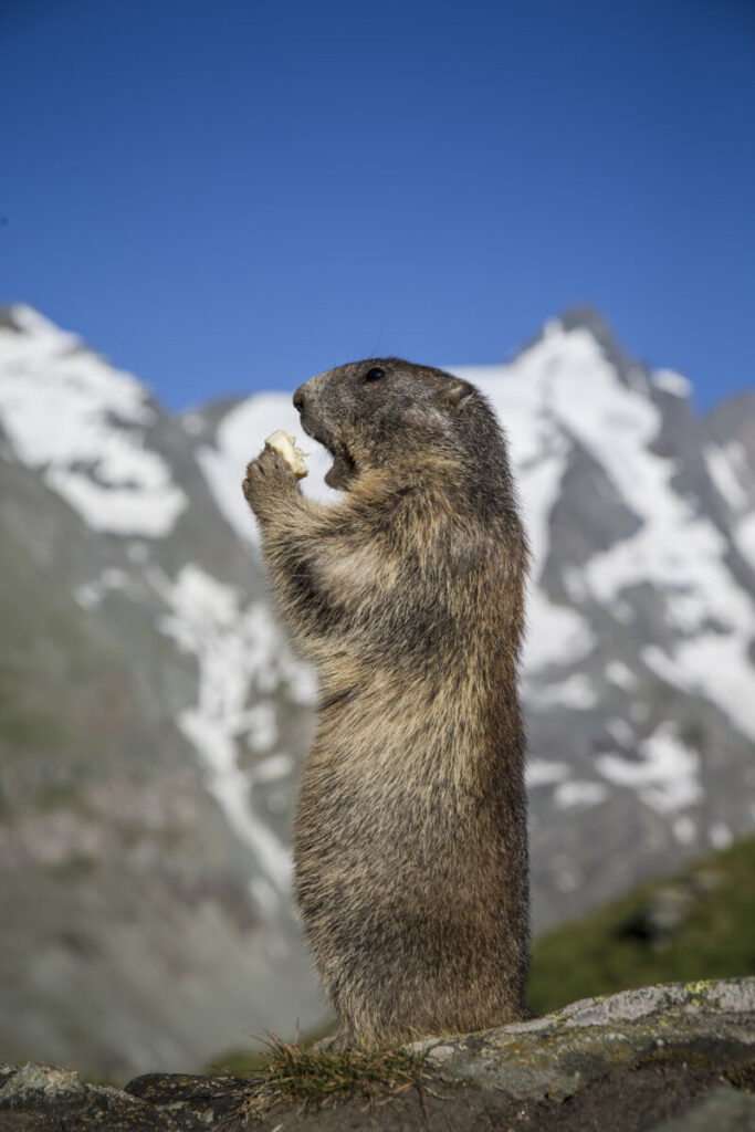 Nationalpark Hohe Tauern