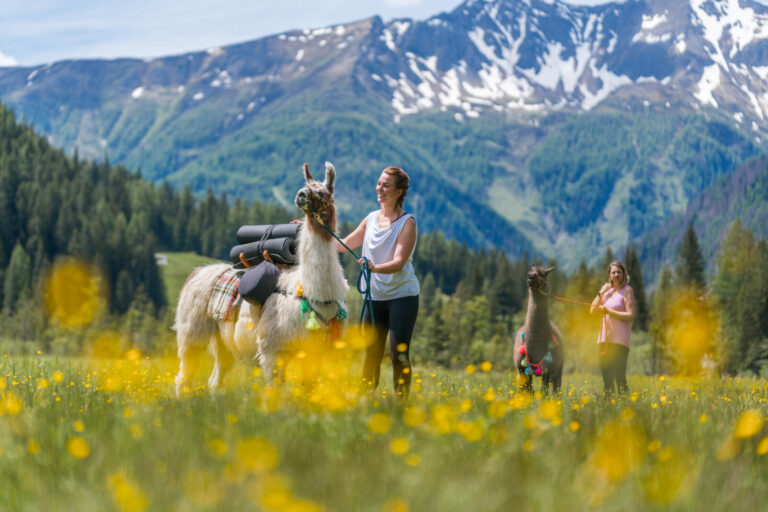 Zwei Frauen genießen einen Urlaub in der Nationalparkregion Hohe Tauern in Kärnten, Österreich. Sie führen Lamas durch eine Wiese voller gelber Wildblumen, im Hintergrund sind majestätische schneebedeckte Berge zu sehen. Die Szene strahlt Ruhe und Gelassenheit aus und steht für eine erholsame Auszeit in Kärnten.