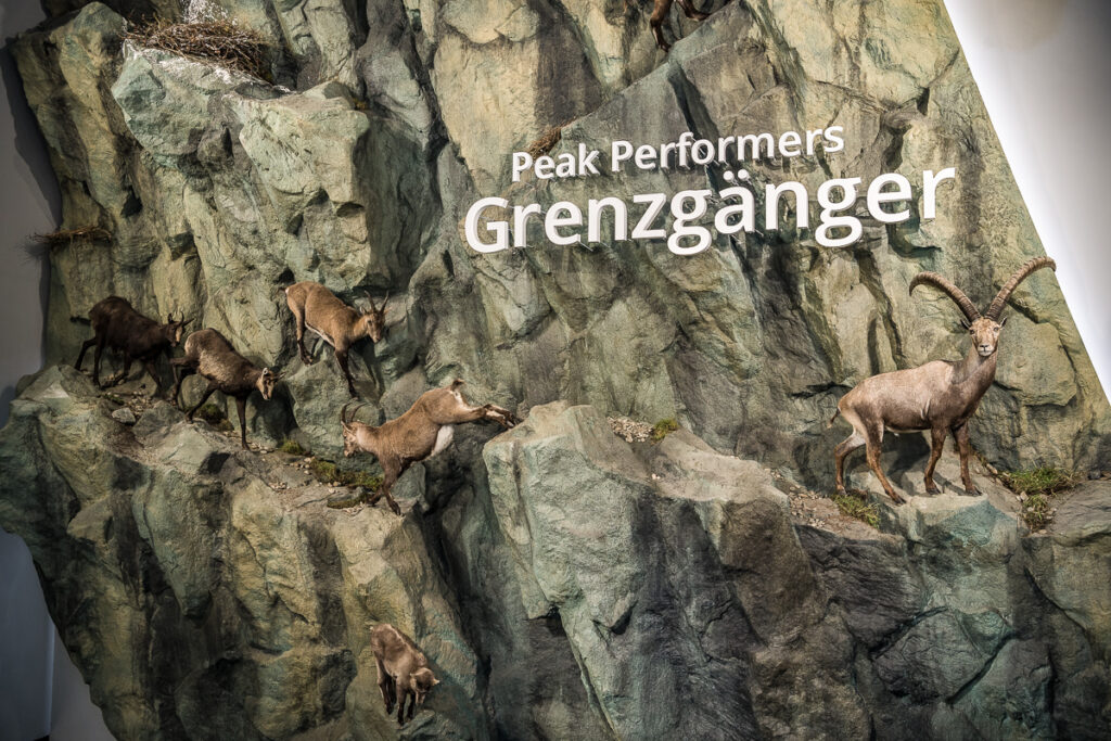 Haus der Steinböcke innen_Nationalpark Hohe Tauern c) Hannes Pacheiner