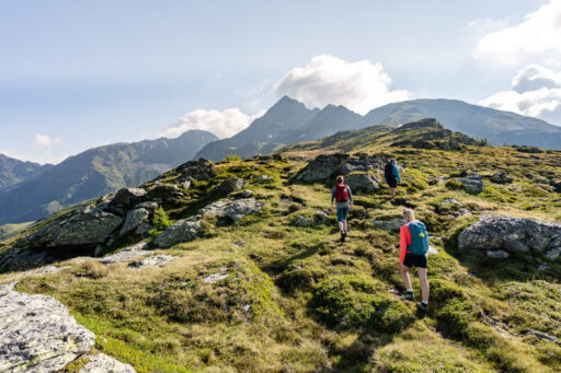 103-21 ©FRANZGERDL NPHT-Drautal-Mountain Spring _4832