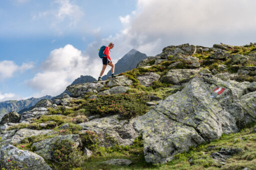 107-21 ©FRANZGERDL NPHT-Drautal-Mountain Spring _4847