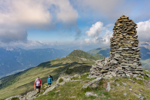 111-21 ©FRANZGERDL NPHT-Drautal-Mountain Spring _4861