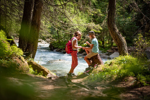 204-19 ©FRANZGERDL NPHT-Moelltal